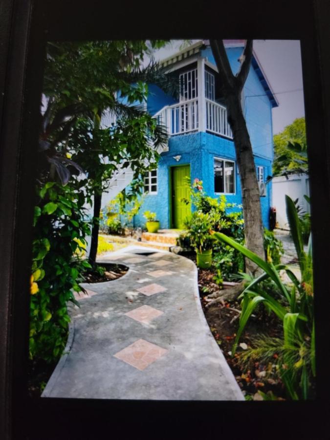 サン・ペドロ Casa Catalinaヴィラ エクステリア 写真